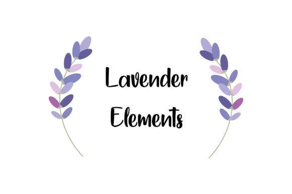 Download Lavender Illustrations - Lavender illustrations Collection