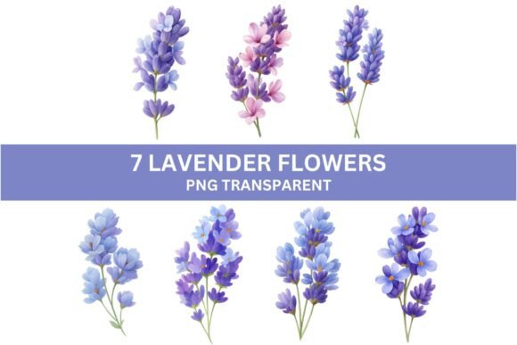 Download 7 Watercolor Lavender Flowers PNG - Premium Resources